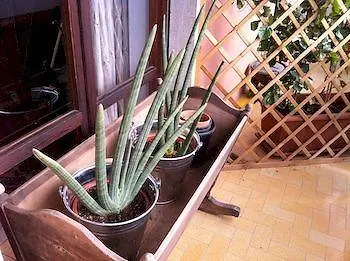 住宿加早餐酒店 拉罗拉酒店